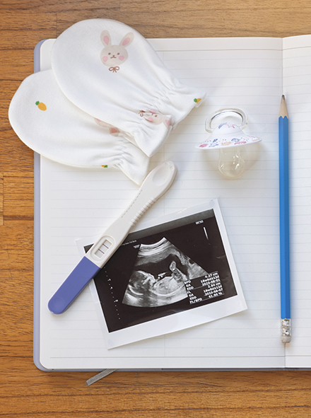 임신출산 지원 정책 모니터링 및 과제